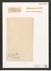 Navicula mutica var. quinquenodis (Grun.) V.H. (de-Toni-Nr.: Genus 1, Species 397) Zeichnungen Sammlung Grunow (NHMW-BOT-W0367358)